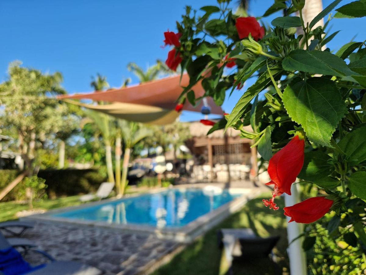 لاس تاريناس Hotel Enjoy المظهر الخارجي الصورة