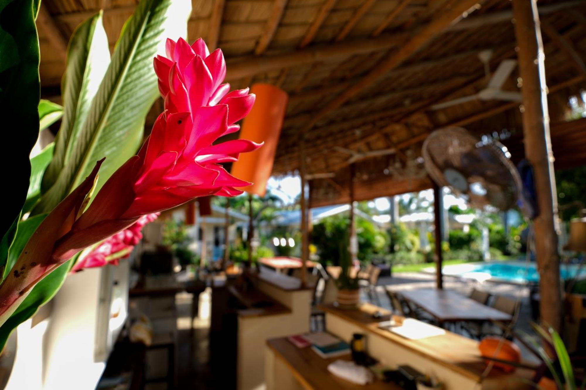 لاس تاريناس Hotel Enjoy المظهر الخارجي الصورة